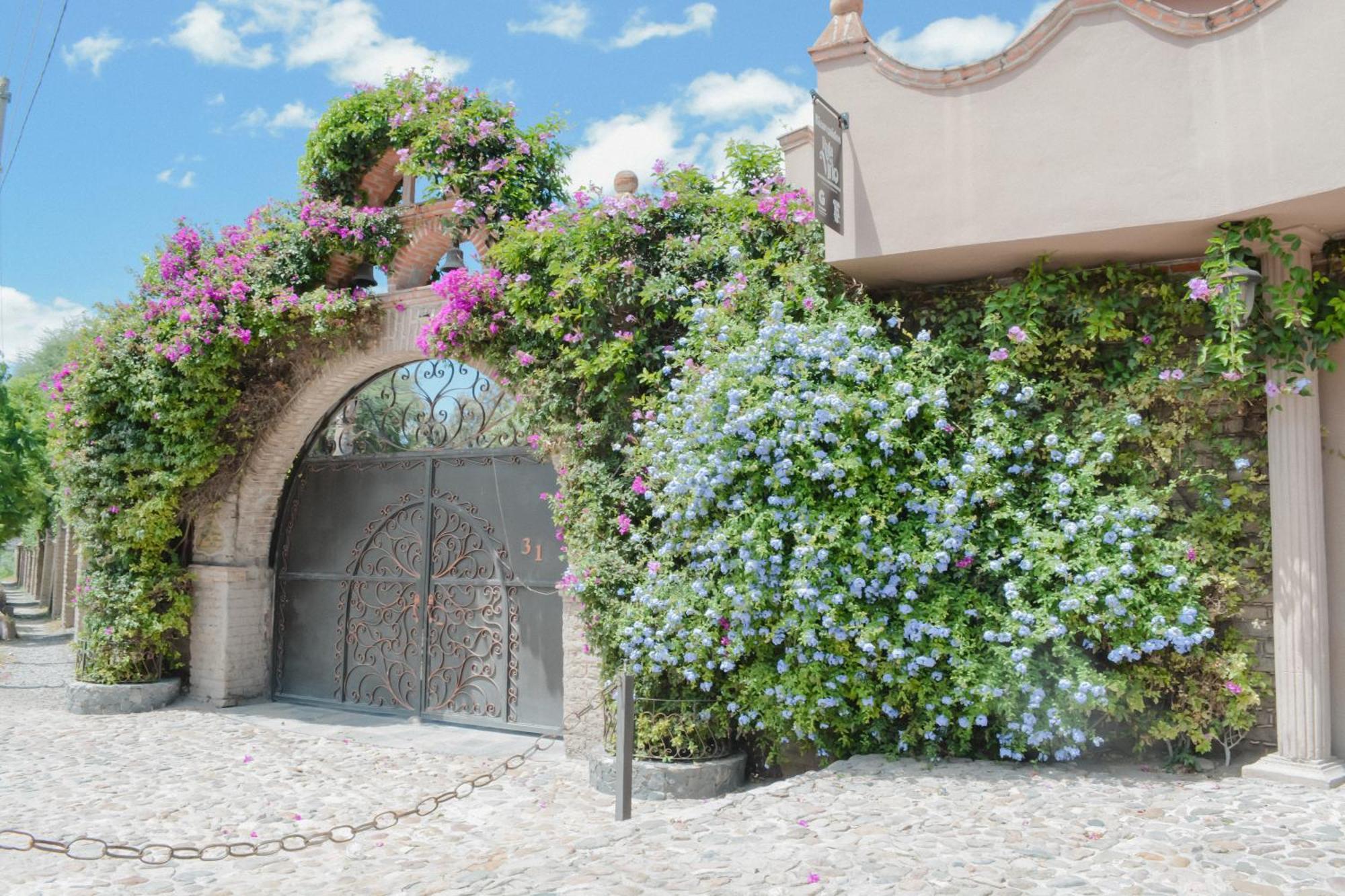Casa Las Palmas en San Miguel de Allende Cieneguita Exterior foto
